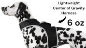 Get Realtime Pet Locations w/ Pet Tracker Mini Cat Dog GPS Tracking Collar Size:XL