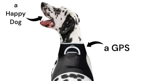 Get Realtime SMS/Live Tracking Data w/ Pet Tracker GPS Dog Collar Tracker Size:XXL