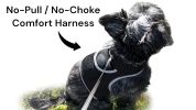 Realtime App Wireless Pet Security GSM GPS Dog Tracking Collars Device Size:S
