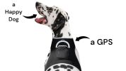 Get Accurate Pet Locations w/ Pet Tracker Realtime Dog Collar GPS Tracker Size:XXL