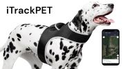 Inexpensive Less Maintenance GPS Tracker Dog Collar Rechargeable Tracking Gadget Size:S