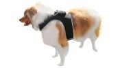 Get Realtime SMS/Live Tracking Data w/ Pet Tracker GPS Dog Collar Tracker Size:M