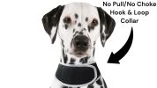 Battery Saver Mini GPRS GSM GPS Collar for Dogs Waterproof Pet Tracker Size:M