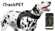 Remote Pet Surveillance Pet Tracker Waterproof Collar Mounted GPS for Pet Size:M