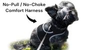 Dependable Pocket Pet Cat Dog GPS Tracker Portable Locator Waterproof Size:L