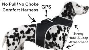 Inexpensive Dog Locator Device Waterproof + Perimeter Fencing Settings Size:XXL